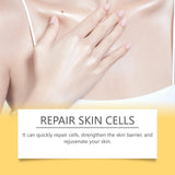 Bee Venom Moisturizing & Repair Cream – Hydrate, Soothe, Nourish (60g)