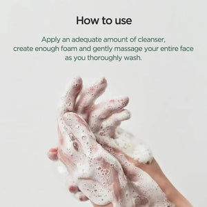 Houttuynia Cordata Acne Facial Cleanser – 150m